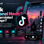 TikTok SMM Panel Nedir? TikTok Servisleri Nasıl Çalışır?