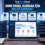 SMM Panel Scripti Nedir? Hazır Script mi Özel Yazılım mı?